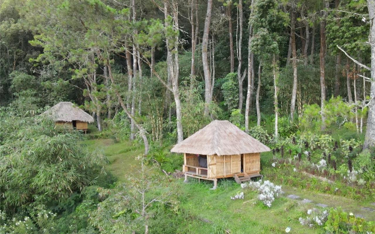 Ticket To The Moon Hammock Camp Villa Selat Exteriör bild
